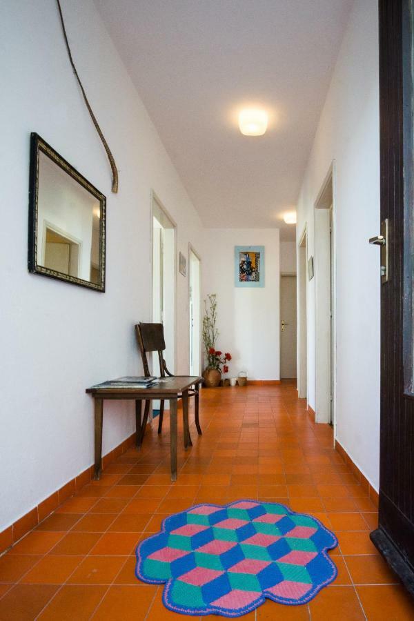 Apartments Podatok 4 Primosten Exterior photo